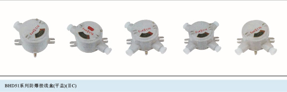 BHD51系列接线盒(平盖)（ⅡB、ⅡC、e）