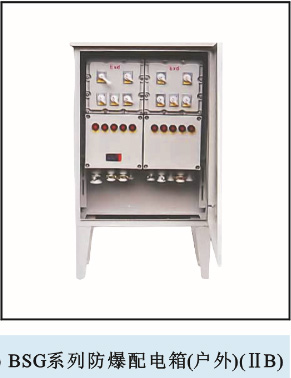 BSG系列防爆配电箱(户外)（IIB）