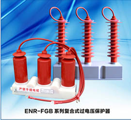 ENR-FGB型复合式过电压保护器