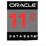 oracle，sql，DB等数据库以及服务