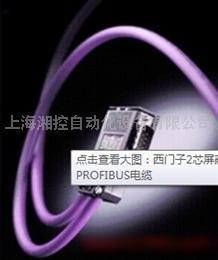 西门子紫色双芯电缆