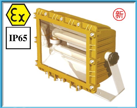 SBD1109防爆节能泛光灯//森本品牌