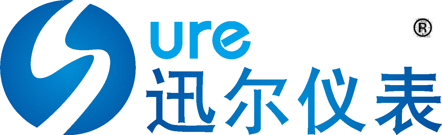 天津市迅尔仪表科技有限公司