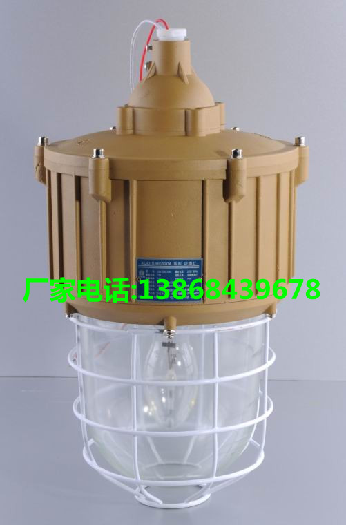 SBN3304-J70防爆灯