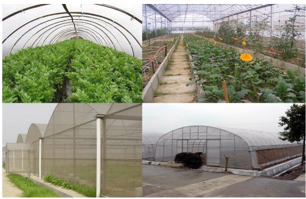 生态农业温室大棚环境参数温湿度光照度监控系统