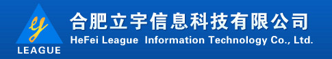 合肥立宇信息科技有限公司