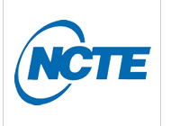 供应德国NCTE扭矩传感器
