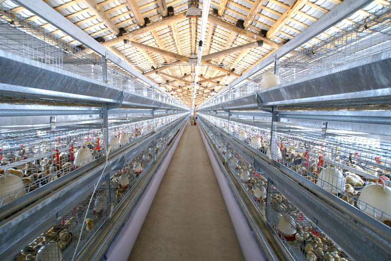 畜禽养殖环境智能监控系统
