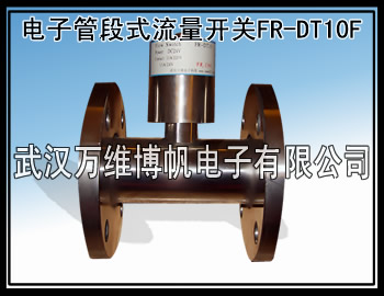 供应流量开关 管段式流量开关 FR-DT10F 