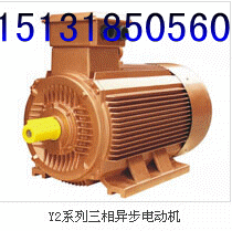 【铝壳 铜线】衡水电机厂专业生产Y2系列三相异步电动机