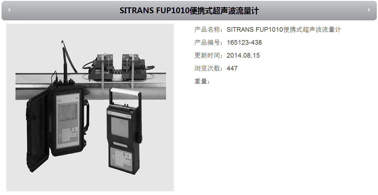 品牌便携式超声波流量计