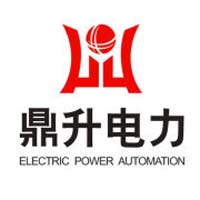 武汉鼎升电力自动化有限责任公司