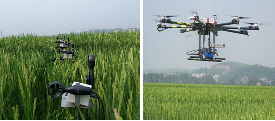 农用无人机风场温湿度无线传感器网络测量系统