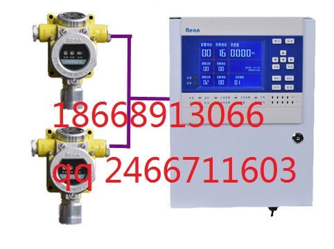 硫酸气体报警仪 RBT型气体浓度探测器