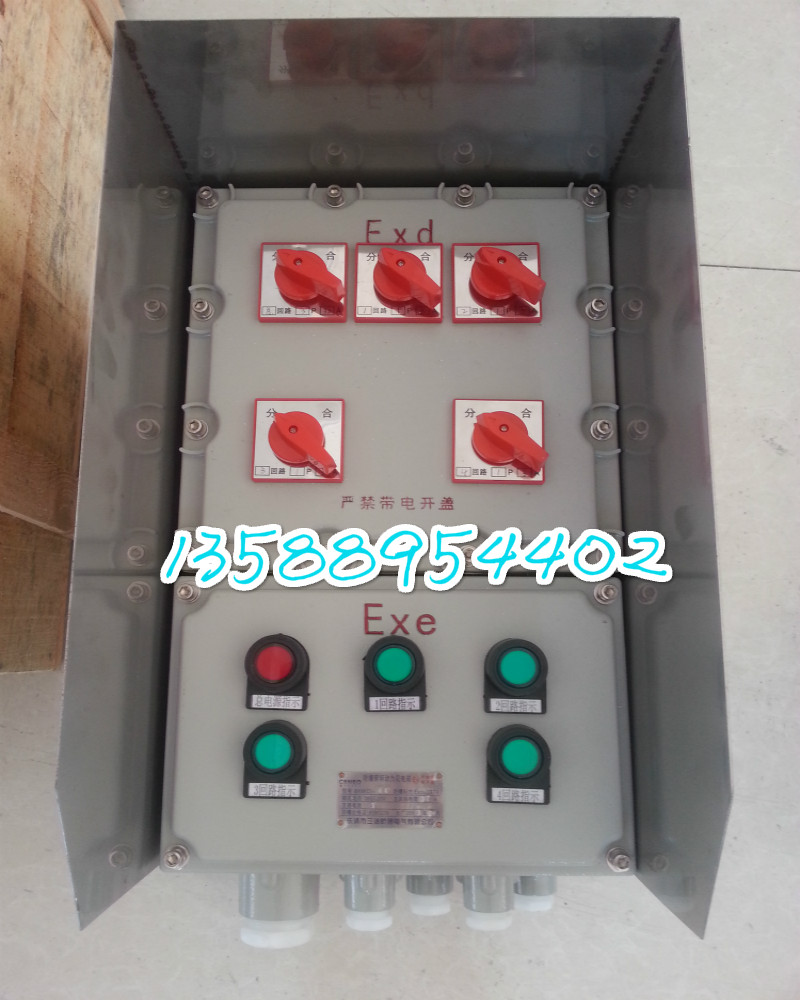 4回路防爆配电箱的型号：BXMD-4K（4个16A分开关/1个32A总开关，正泰元件）