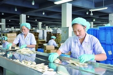 台州塑料制品行业“机器换人”试点投资已超3亿