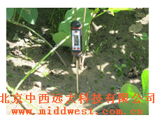 中西dyp针式土壤温度仪(中西器材） 型号:M391560库号：M391560 