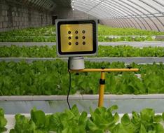 为什么要用LED植物生长灯