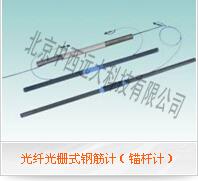 中西dyp 光纤光栅式钢筋计 型号:MW12-GS900库号：M321206