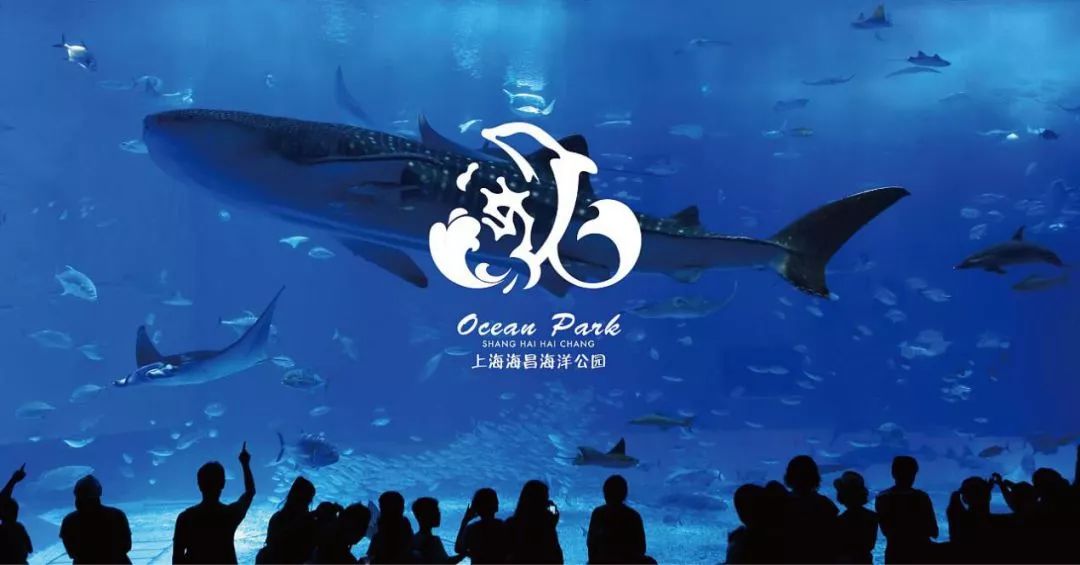 上海津信为上海极地海洋公园开业保驾护航