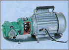 中西DYP  防爆油泵  型号:SH225-WCB-30库号：M139626   