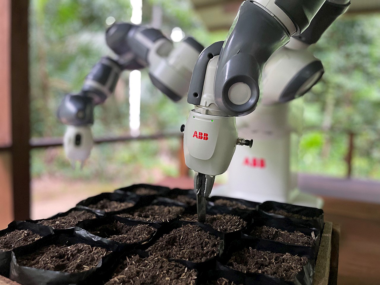 世界上“最远程工作”的机器人，助力亚马逊雨林重建项目